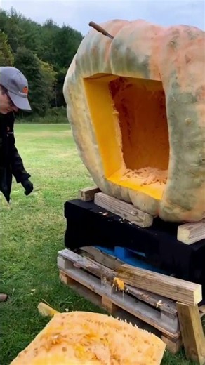 The $1,000 Pumpkin Seed?! 🎃💰