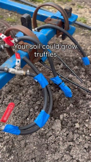 Hanging Rock Truffle Farm on Instagram: "Got land sitting there doing nothing? Truffle farming is one of the most hands on long game projects you can build on acreage. It starts with the basics done properly. Soil structure, aeration, drainage, and getting your lime and limestone right before trees go in. Comment “Land Check” and I’ll send you a free PDF that will tell you if truffle farming is in your future! #trufflegrowing #trufflefarm #acreagelife #treechange #soilhealth"