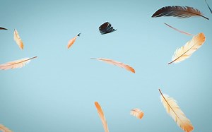 10个小清新C4D免费动画工程分享