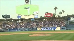 510K views · 21K reactions | A bald eagle from the L.A. Zoo soared...