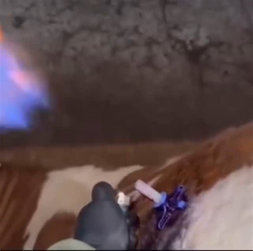 Horrors on Instagram: "Bloated cow The flame comes from gas released from the bloated cows stomach #reels #viral #explore"