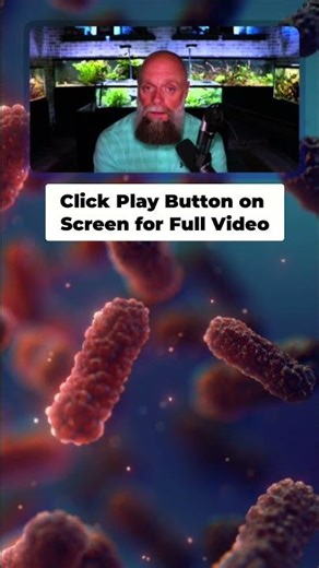 Microbes: Tiny Organisms, Big Impact on Our Health