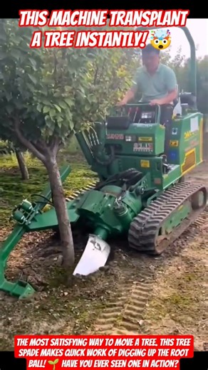 This Machine Transplant a Tree Instantly! 🤯#shorts