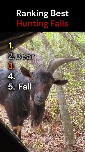 Ranking Best Hunting Fails 🦌