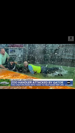Shocking attack at a #Utah petting zoo, with an #alligator clamping down on a handler’s hand and visitors rushing into the tank to help save her life.