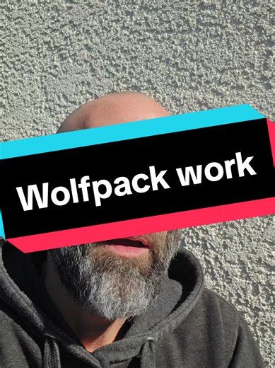 A summary and look into the Wolfpack volunteer group and our work serving at risk communities in need! Get out there and do something! We're moving ahead full steam!