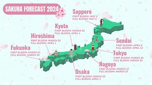 Expect cherry blossoms in Tokyo as early as March 23 and full bloom on March 30, says the Japan Meteorological Corporation in its first forecast. | Japan Forward