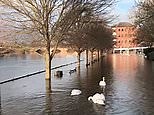 Scenes of River Severn bursts its banks in Worcester as more flooding on the way