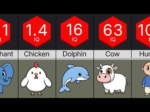 Comparison: Every Animal IQ