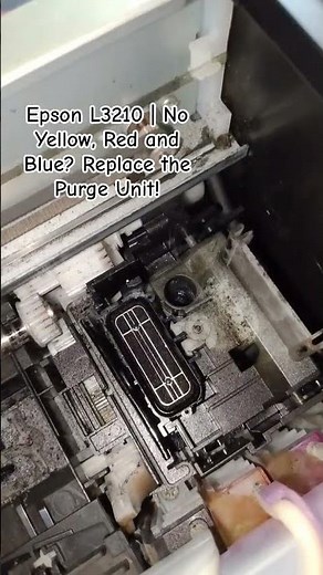 Epson L3210 | BO YELLOW, RED and BLUE? | Replace The Purge Unit!