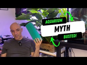 Why Sponge is Bad choice for biological filtration in your aquarium