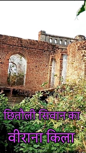 सिवान में किला जहां डर लगता है #viral #shorts #reels #video #viralstory #horror #veerana #like