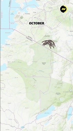The Great Wildebeest Migration