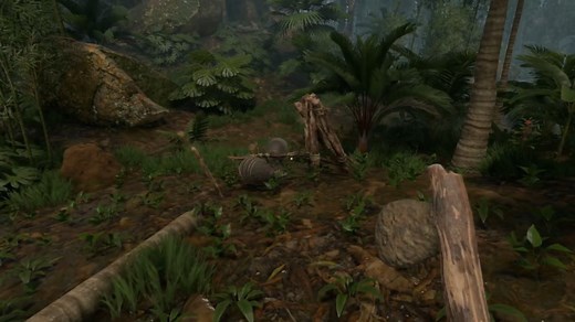 Green Hell: How To Get Armadillo Shells