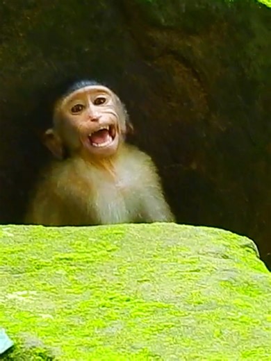 Funny small baby cry spoil upset mom reject milk | Monkey TV7