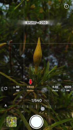 Creative Mobile Photography 📱|| Tips and Tricks For Mobile Photography 💥