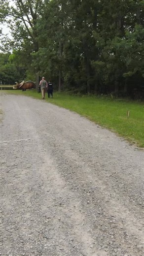 Franklin, PA, it’s your turn! 🎯 The R100 Archery Tour is back this weekend at Fertigs Archery Club, and the ranges are switched up with new challenges! From dinos to deer, you never know what target is waiting downrange. 🦖 📍: September 5–7 | Fertigs Archery Club Register now at R100.org (🔗 in bio) #archery #R100 #3darchery #archeryshoot #archerylife | R100