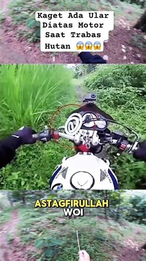 Freaked Out by a Snake on My Bike While Trail Riding in the Woods 😱 #fypシ #horror #shorts #motovl...