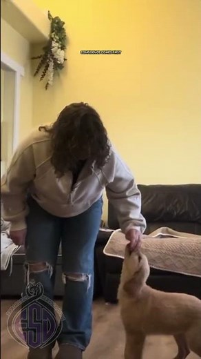 What Errorless Training Actually Means