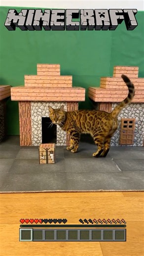 CARDBOARD MINECRAFT FOR MY CAT! 😸⛏️🧱