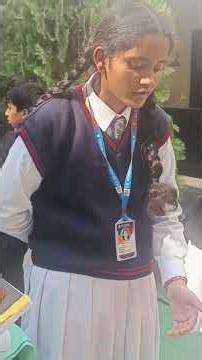 sst project presentation