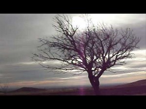 JJ Cale, (Rare,4times), Durango