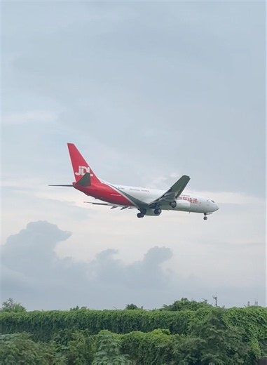 Jdl Airlines b737 landing #aviation #automobile #shortsfeed #b737 #shorts #msfs2020 #fpyシviral #jdl