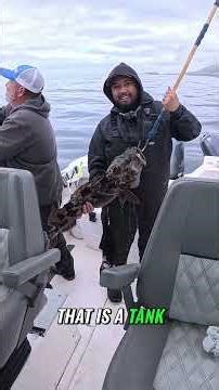 HUGE Lingcod Caught: Is This My New Personal Best? #shorts