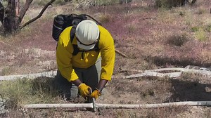 2.8K views · 34 reactions | This week, federal and local firefighters...