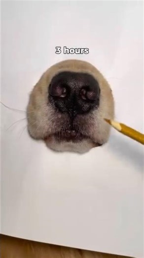 viral funny clips 🔥