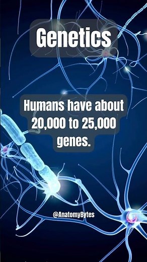 Anatomy Bytes: Genetics — 3 Things to Know 🧬
