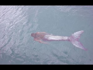 Real Mermaid Caught on Camera 2015 MERMAID EVIDENCE!