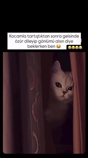 𝖍𝖚̈𝖑𝖞𝖆 36 34 ♡´･ᴗ･`♡ (@hulya36.34) adlı kullanıcının orijinal ses - 𝙨𝙝𝙞𝙧𝙞𝙣𝙡𝙮𝙧𝙞𝙘𝙨 ile oluşturduğu videoları