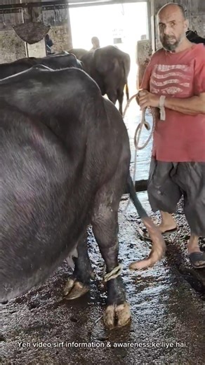 Is Jagah Ka Har Lamha Kuch Keh Jata Hai 😮 | Ground Pakistan