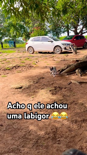 #casalredex #seguenois #viralvideo