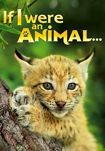 If I Were an Animal - streaming tv show online