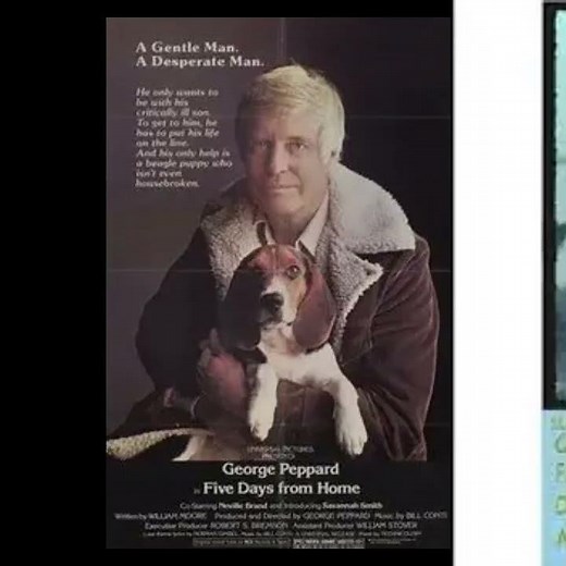 top 9 George peppard movies