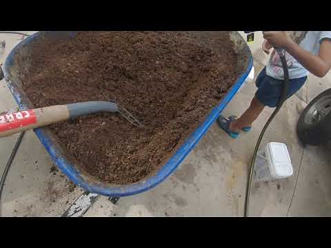 Potent homemade grass seed mixture!