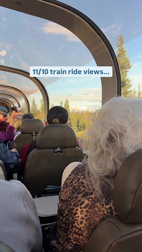 Train Journey to Denali National Park Adventure
