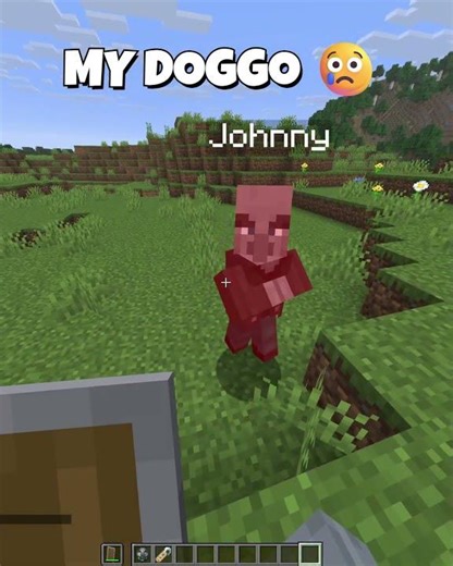 100 Vindicators vs 100 Zoglins Revenge My Dog 🐺💔 (Minecraft Battle!)