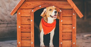 Selling the Practice You Love