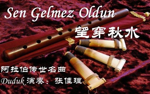 【Duduk|嘟嘟克笛】Sen Gelmez Oldun|望穿秋水|