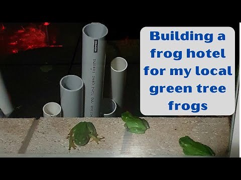 frog hotel-how to make