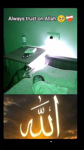 alway trsut in allah #jaidmeel #duet #