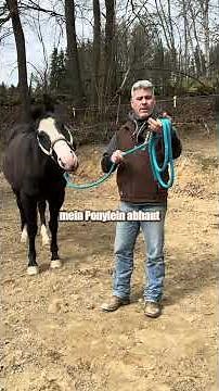 Loop during training? Here's how! 🤠