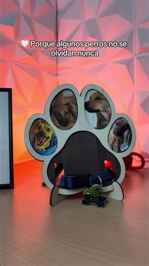 Comenta el nombre de tu perro