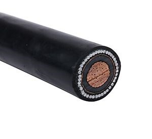 [Hot Item] Single Core PVC Insulated PVC Sheathed Armored Cable with Copper Conductor