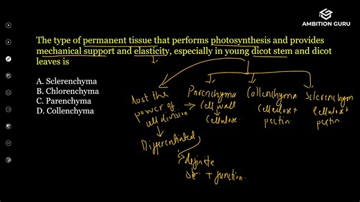 Get the "CEE Important Questions & Solutions" guide exclusively on Ambition Guru! 📱 _ High-probability questions _ Easy-to-understand solutions _ Study anytime, anywhere Download the app now! 👇 APP Link: : https://tny.ws/AGEntrancePrep For More Information: 📞 Contact: 01-5970295 🌐 Visit: www.ambition.guru | Entrance Preparation - Ambition Guru