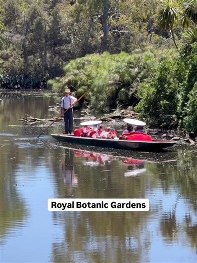 Melbourne Sights on Reels