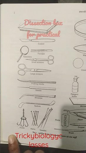 Dissection Box for biology practical #practical #dissection #trending #viral